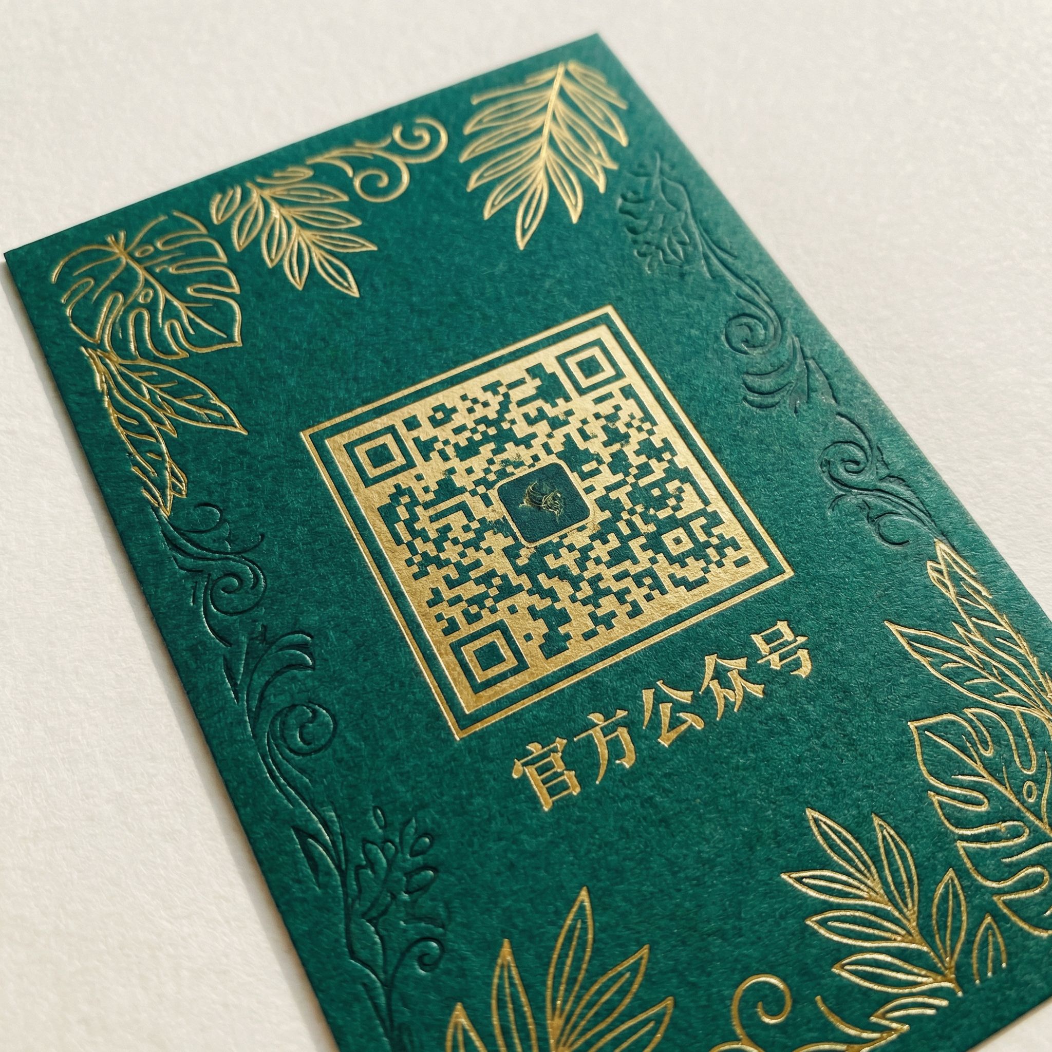 免费看片公众号二维码